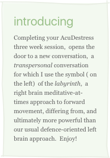 introducing
Completing your AcuDestress   three week session,  opens the door to a new conversation,  a transpersonal conversation for which I use the symbol ( on the left)  of the labyrinth,  a right brain meditative-at-times approach to forward movement, differing from, and ultimately more powerful than our usual defence-oriented left brain approach.  Enjoy!